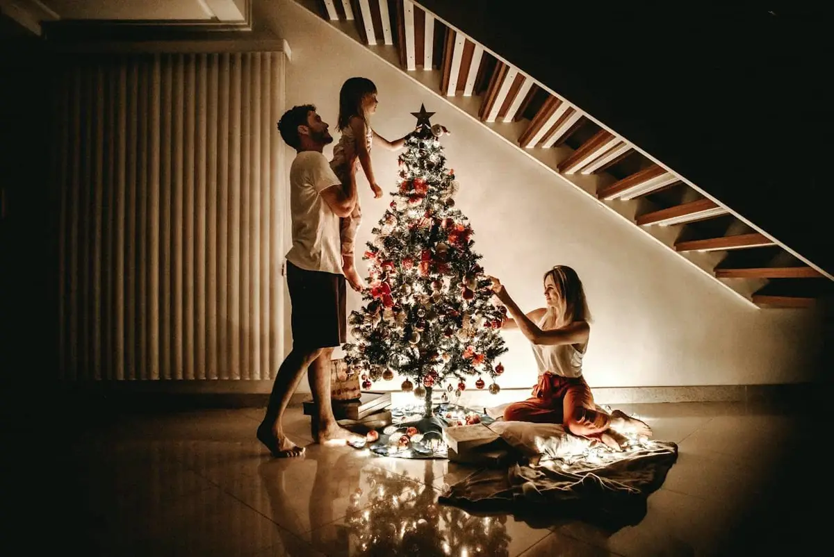 Sample photo of a Christmas tree farm
