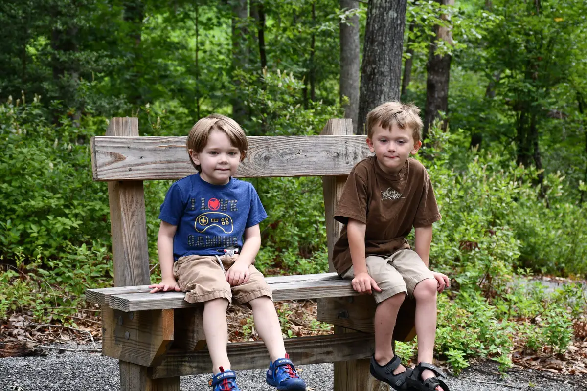 Two boys on a wooden bench in the woods