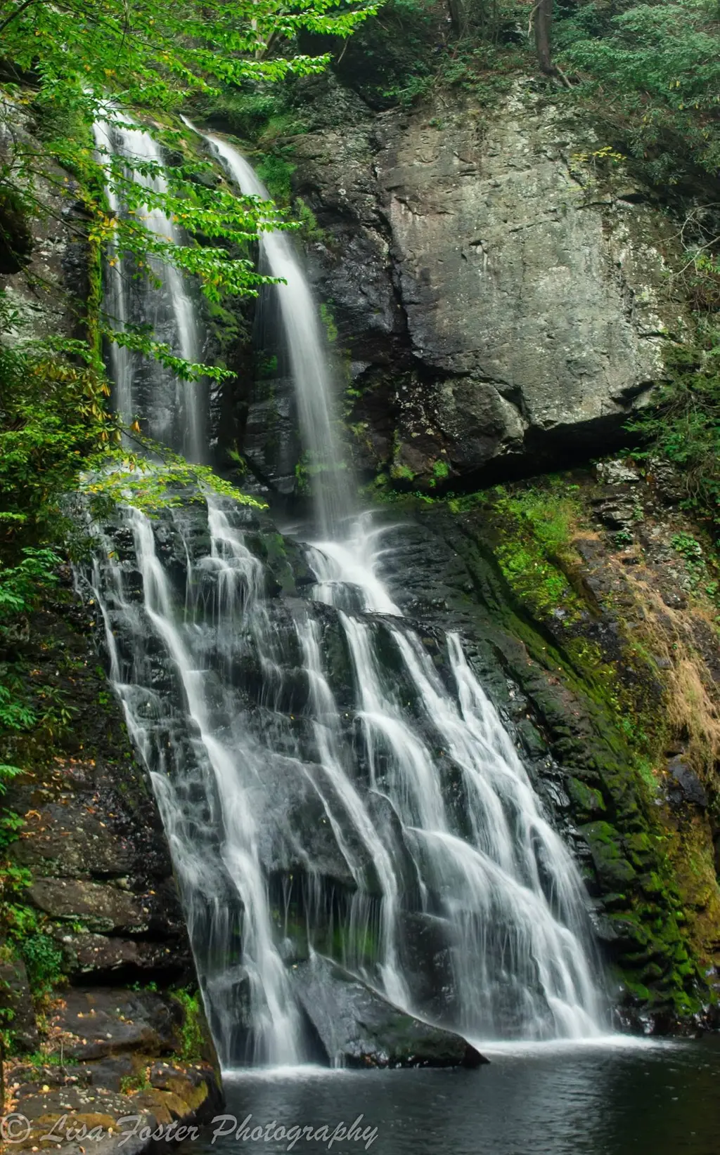 Bushkill Falls pouring over mossy rock