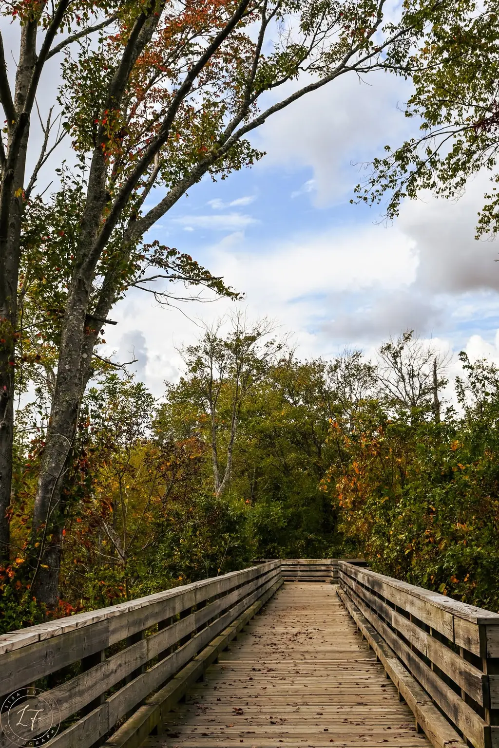 Boardwalk into open sky
