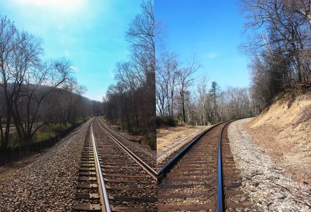 Railroad tracks curving through winter woods