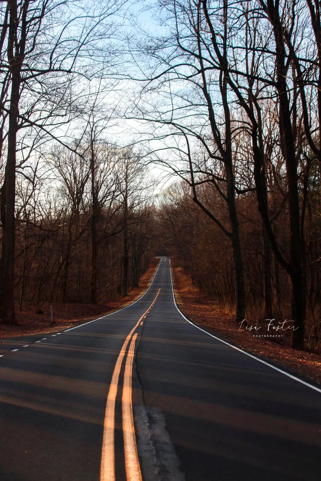 Winding country road through bare autumn woods