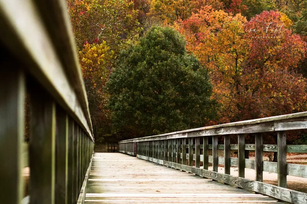 Wooden footbridge framed by autumn trees