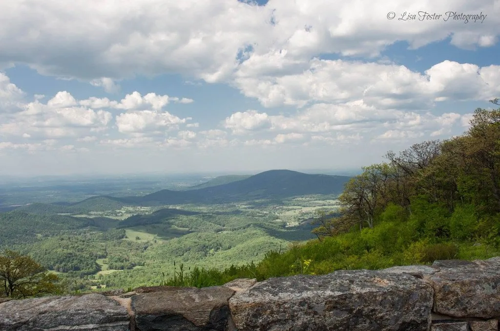 Sunny Skyline Drive overlook above a green Shenandoah valley