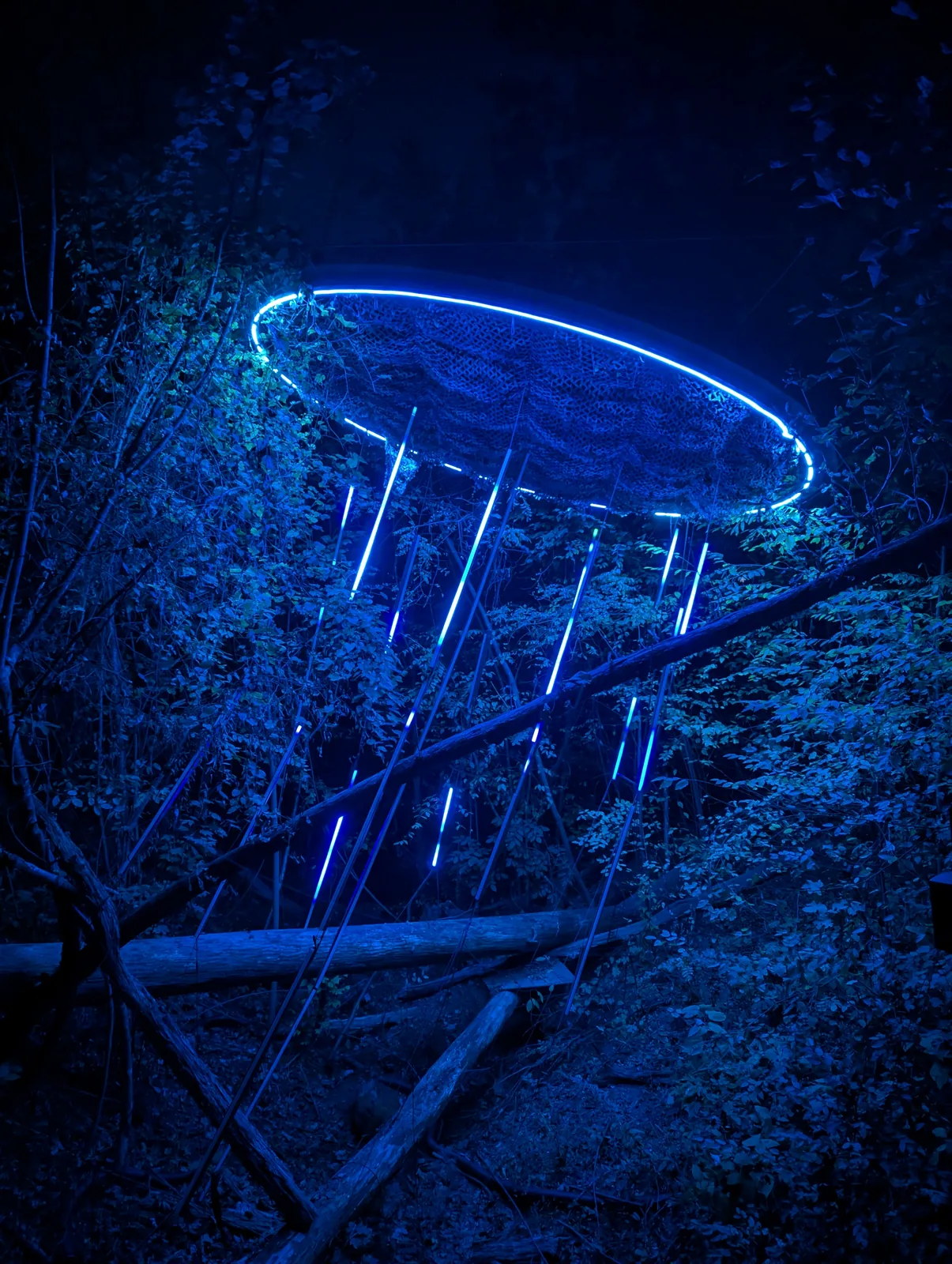 A blue-lit arch and a path of colored lights through dark trees