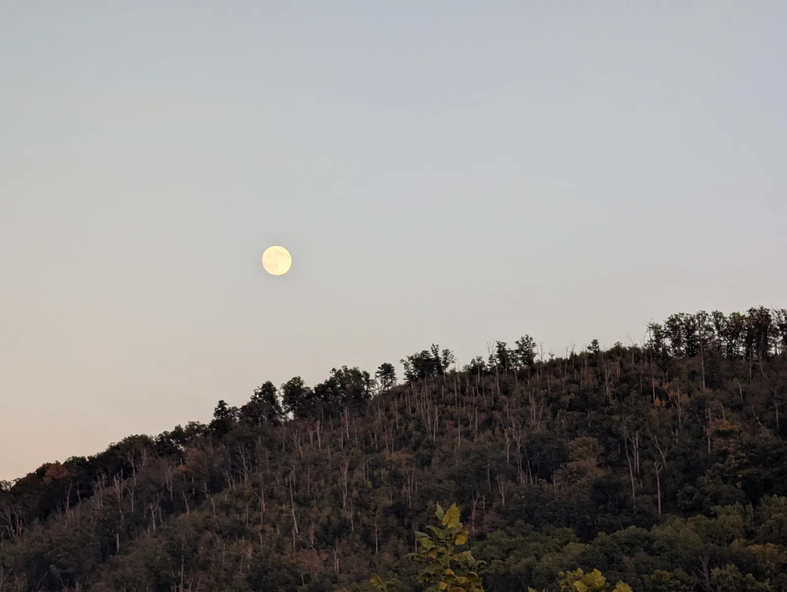 A small bright moon above a dark ridge, with the sky still pale blue