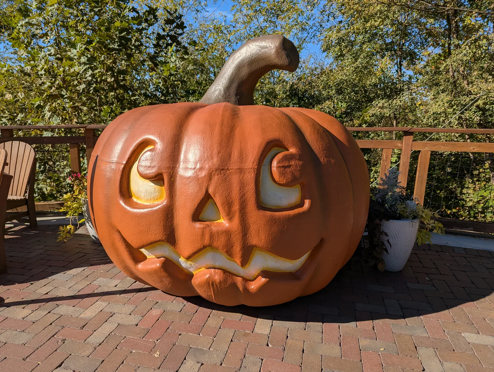 A large display of carved jack-o'-lanterns with many different faces