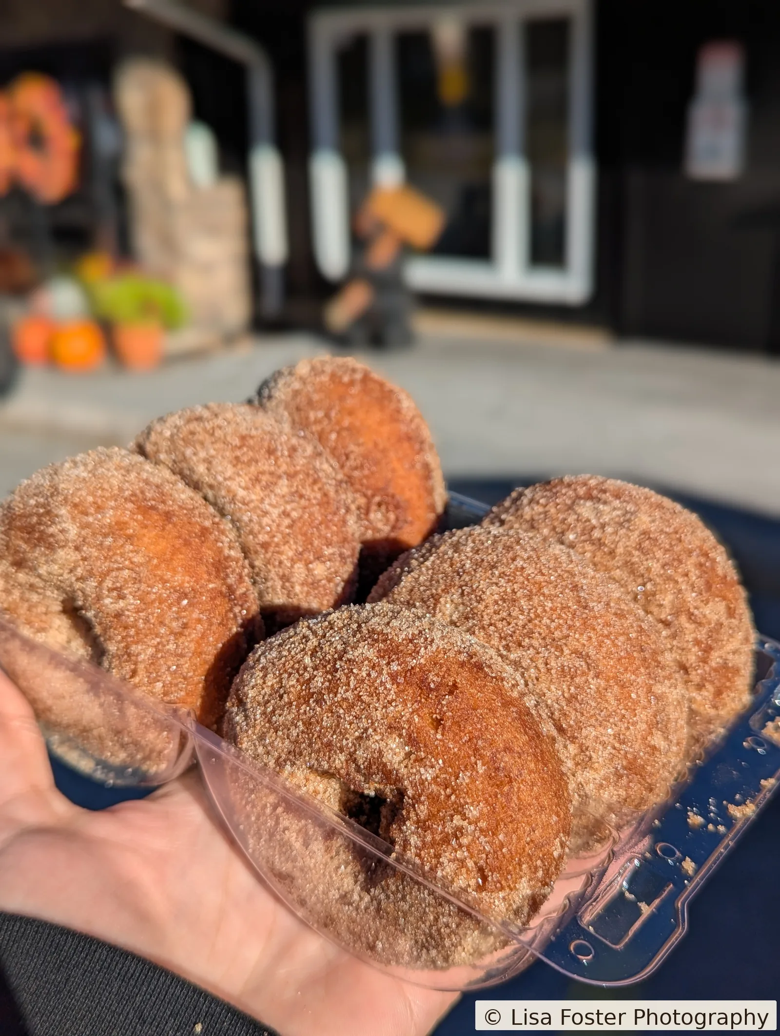 Two round cinnamon-sugar donuts held in a hand in front of the black Apple House, with the wood Est. 1963 sign and the donut bear behind them.