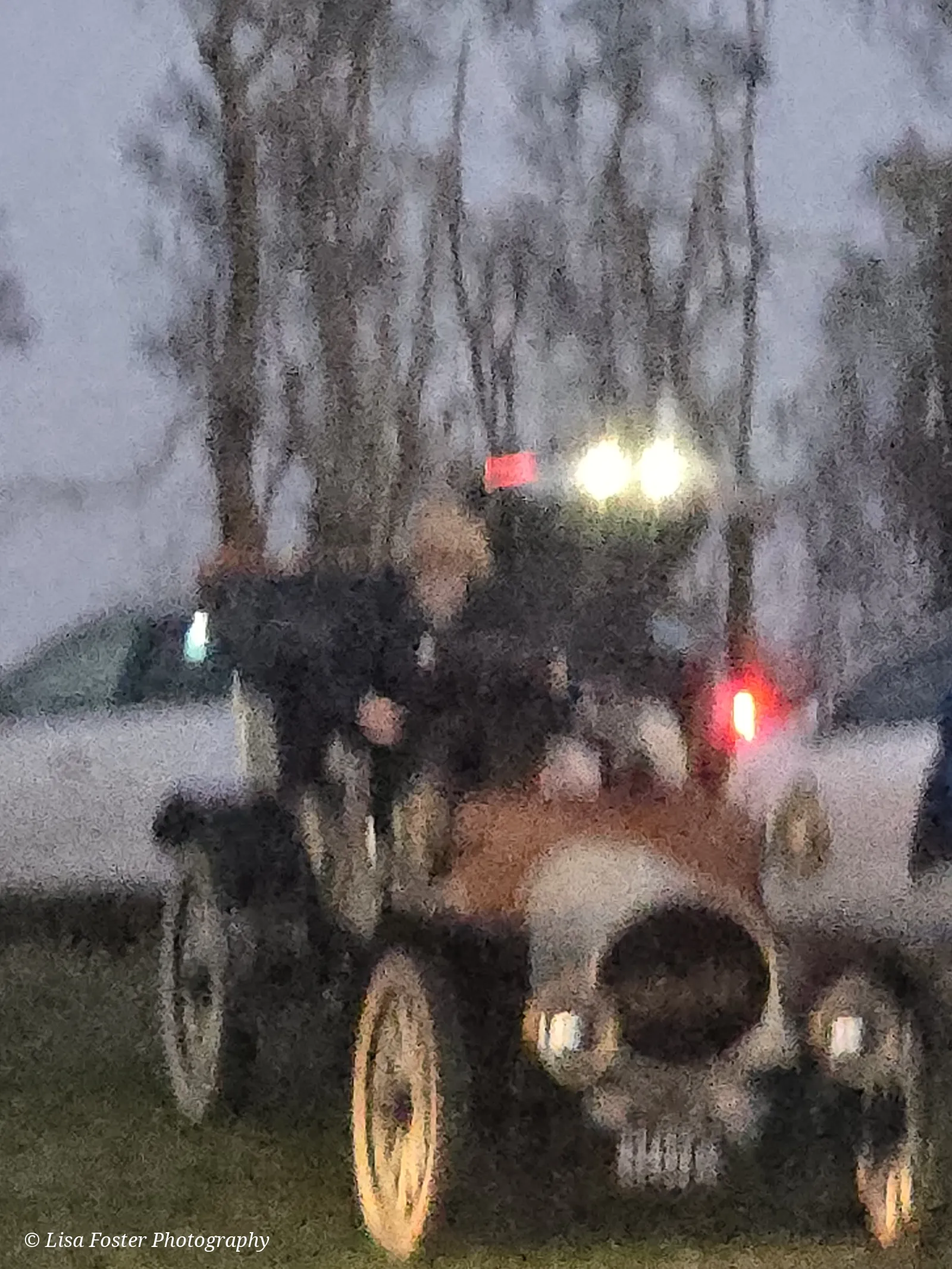 A vintage open car with brass headlamps parked on the grass beside the road at dusk