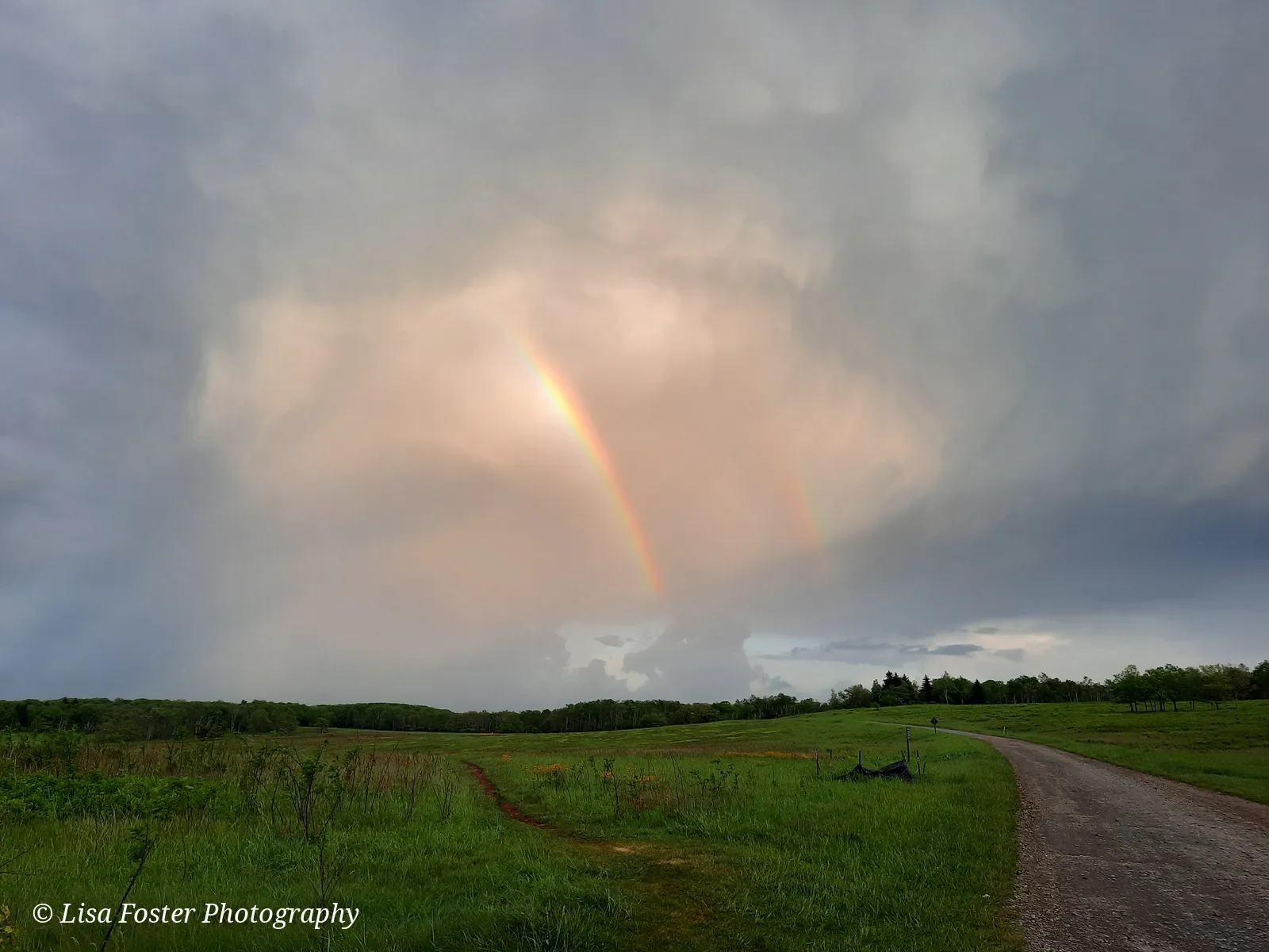 A double rainbow arching over the green grass of Big Meadows under a heavy gray sky, with a gravel path on the right