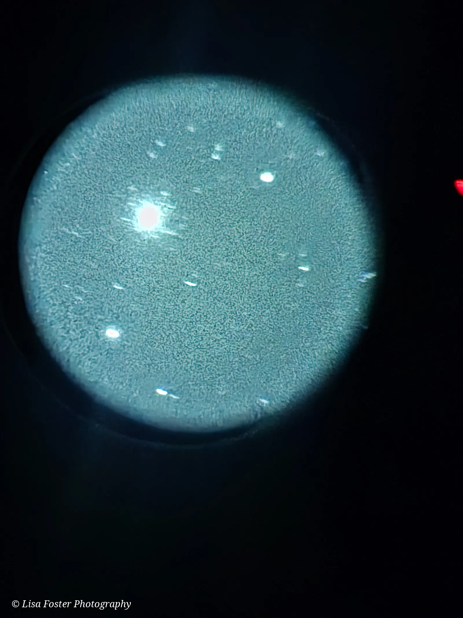 A round eyepiece view of blue-green sky with a bright star and scattered stars