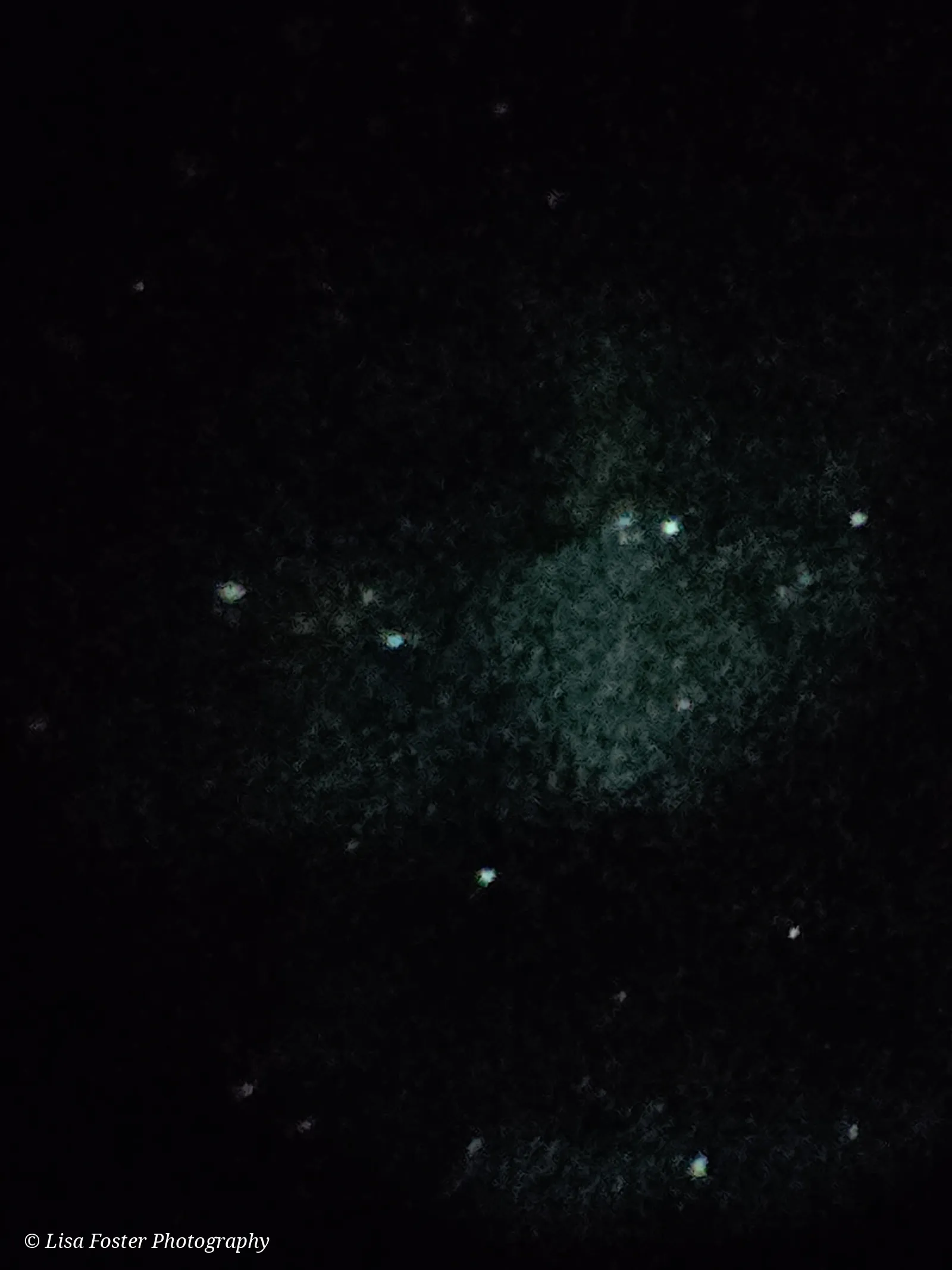 A dim eyepiece view with a loose scatter of faint stars