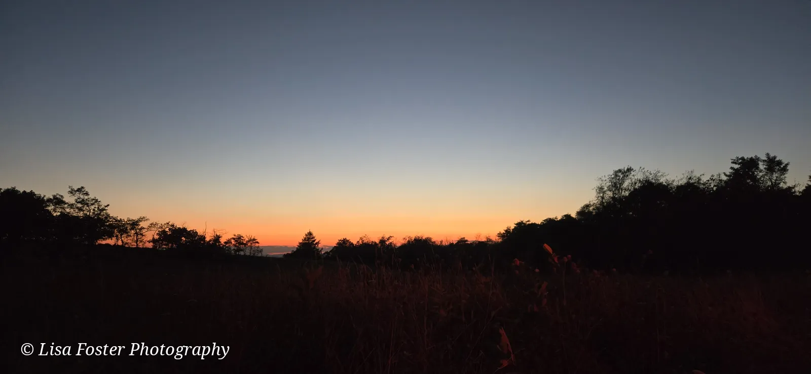 An orange band of sunset glow along a dark treeline over Big Meadows, with a deep blue sky above