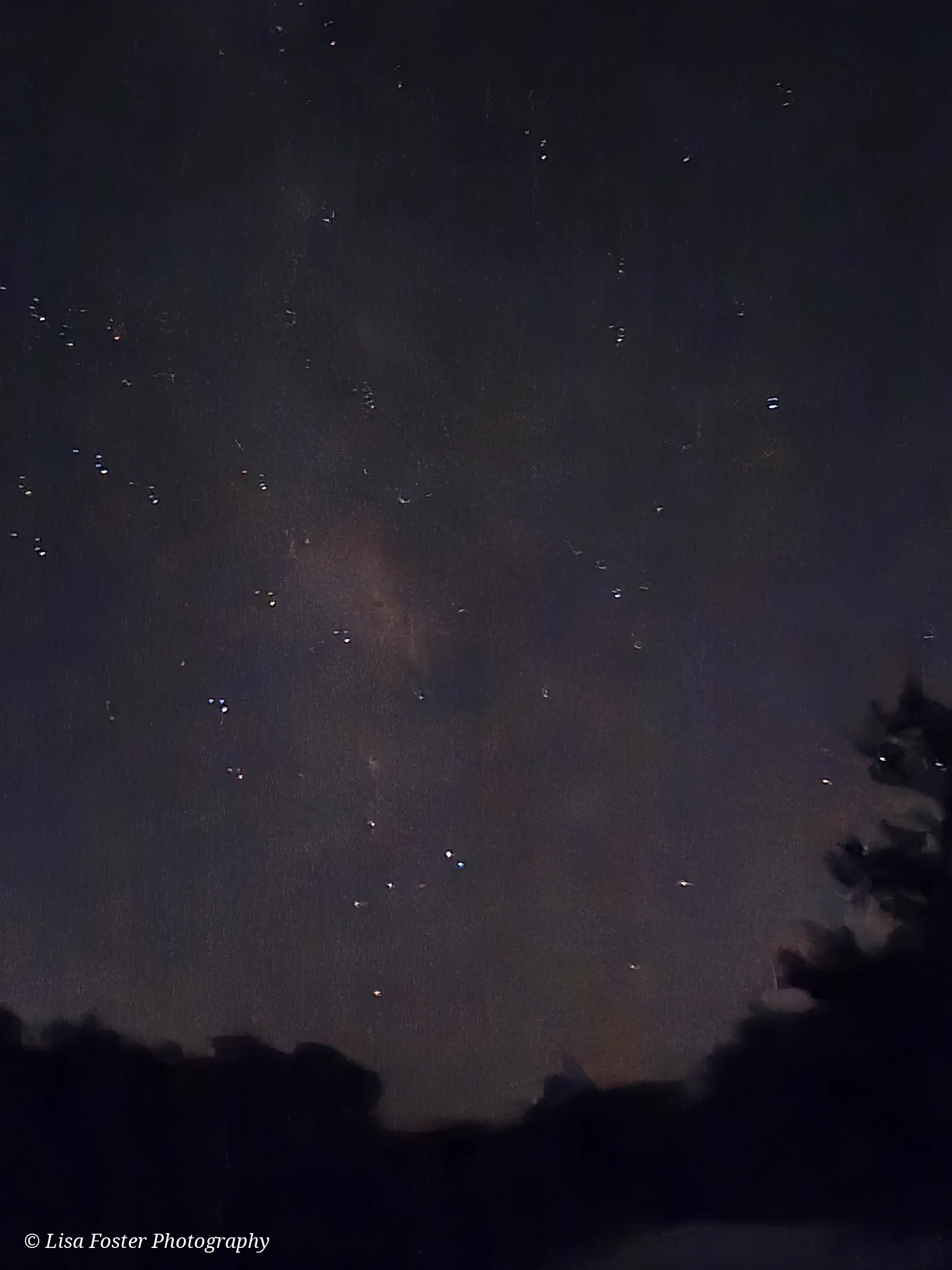 A band of the Milky Way rising over a dark treeline