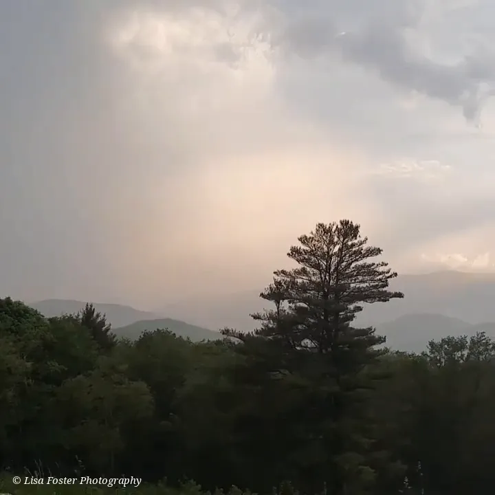 A lone pine silhouetted against a rainy sky over the mountains
