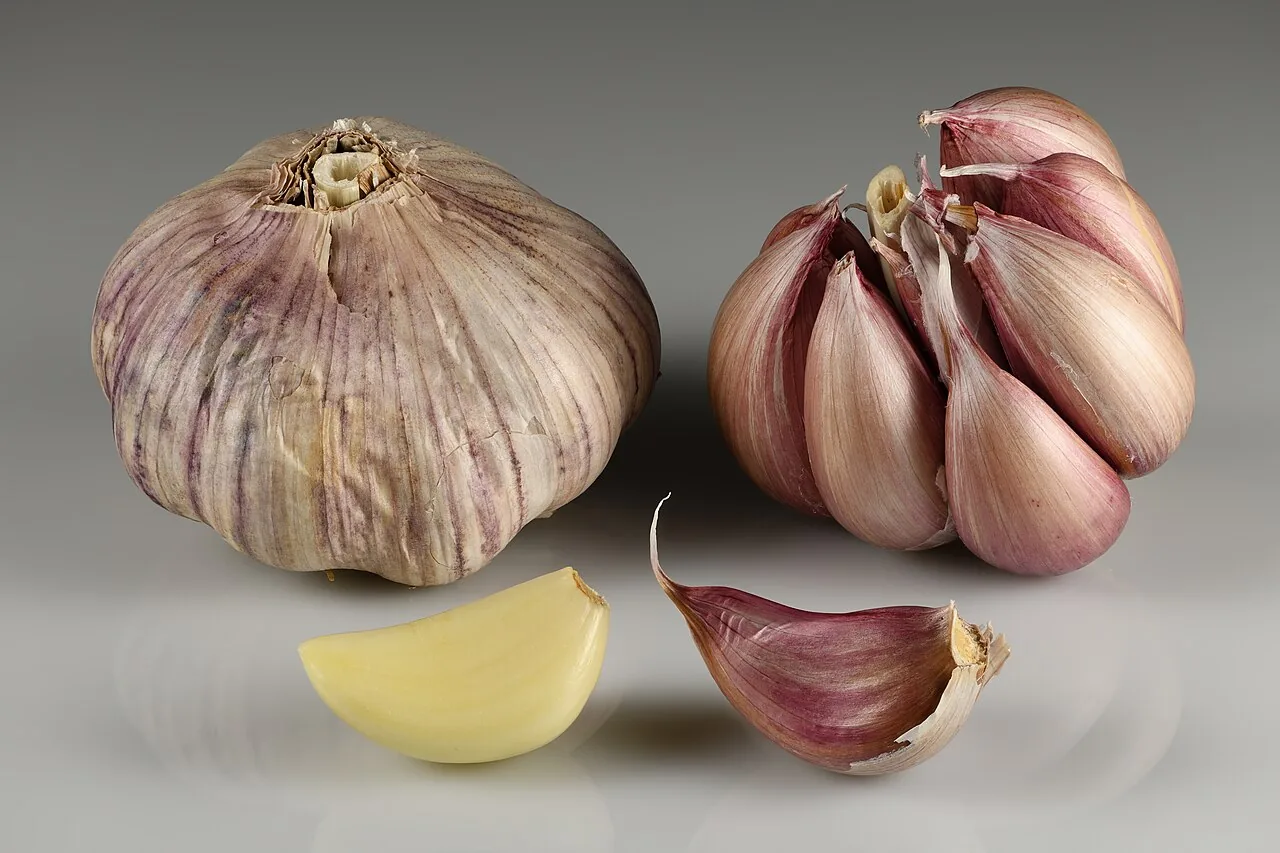 Whole and separated hardneck garlic bulbs with purple-streaked skins