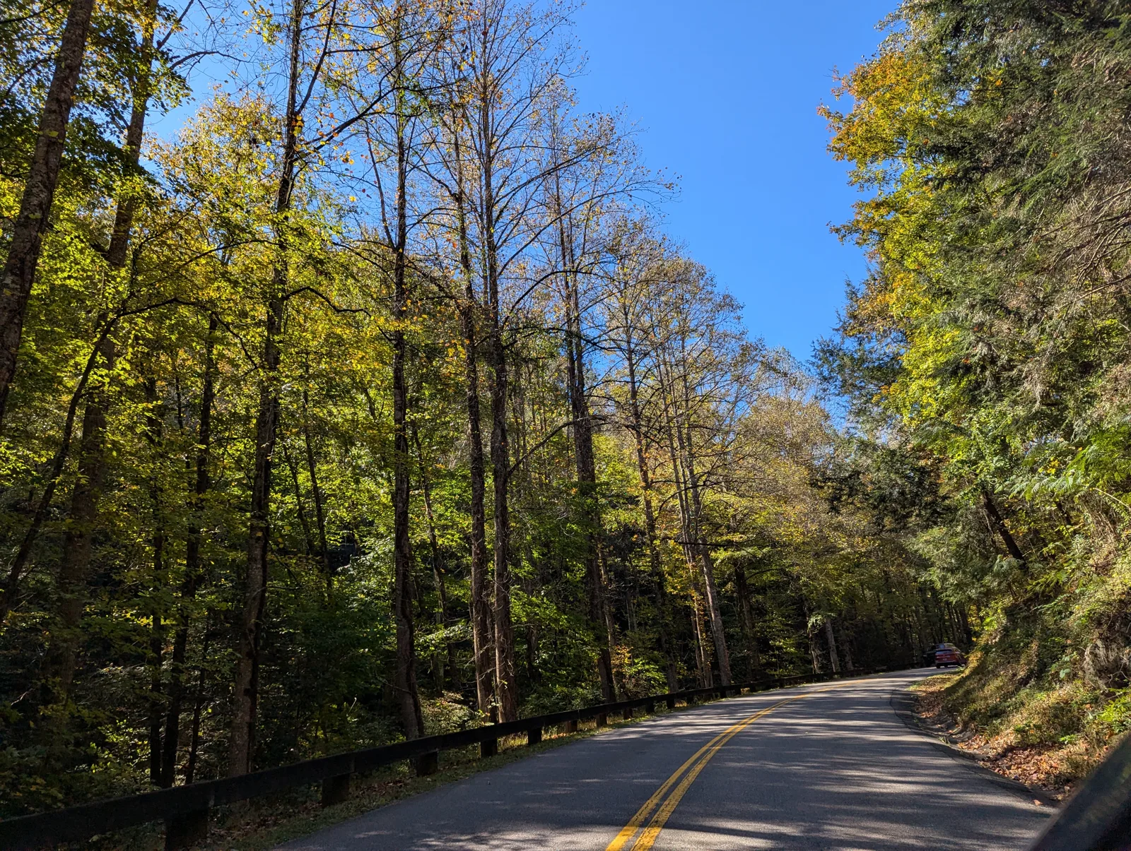 A two-lane road curving through tall trees with yellow and green fall leaves under a blue sky