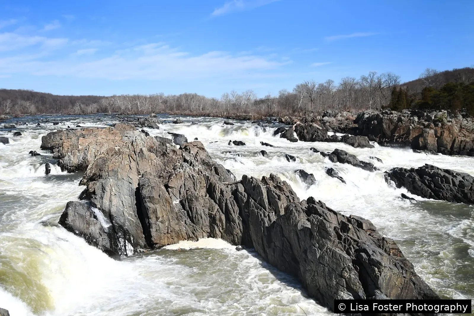 The Great Falls of the Potomac pouring over dark rock ledges, seen from the Virginia side