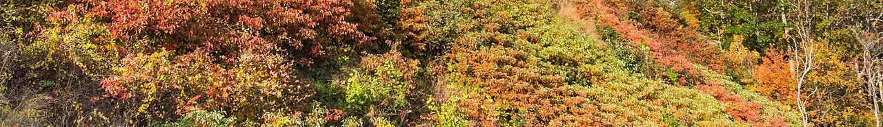 Hazel Mountain Overlook in mid-October 2016.