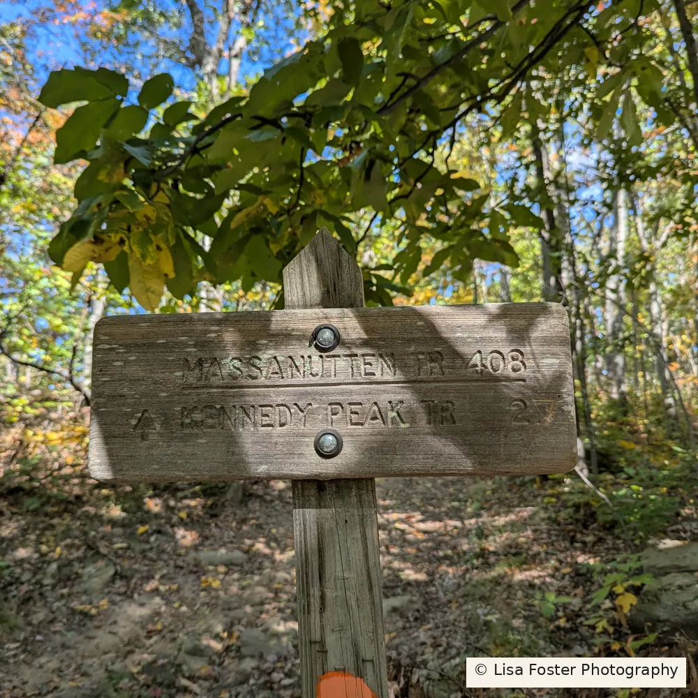 Orange blaze painted on the wooden Massanutten Trail sign post along the Kennedy Peak hike