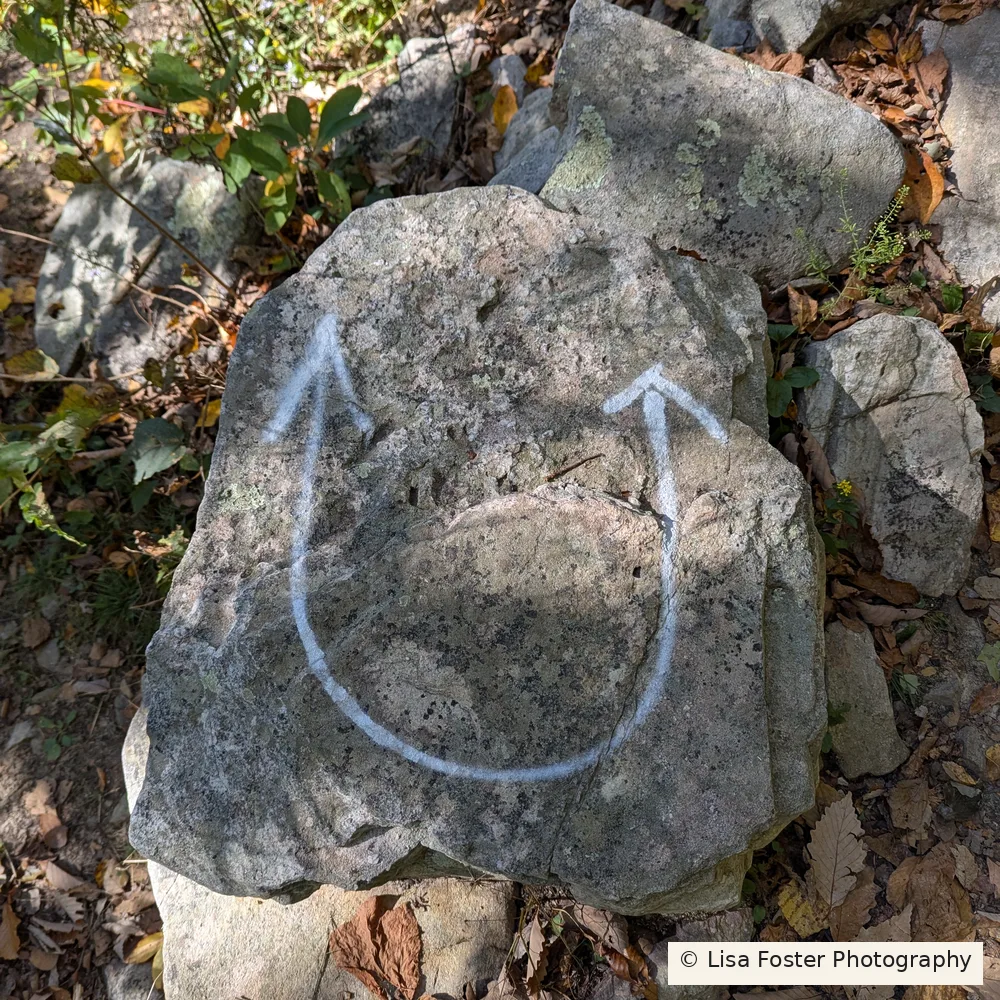 White U-turn arrow painted on a trail rock where the path is easy to lose