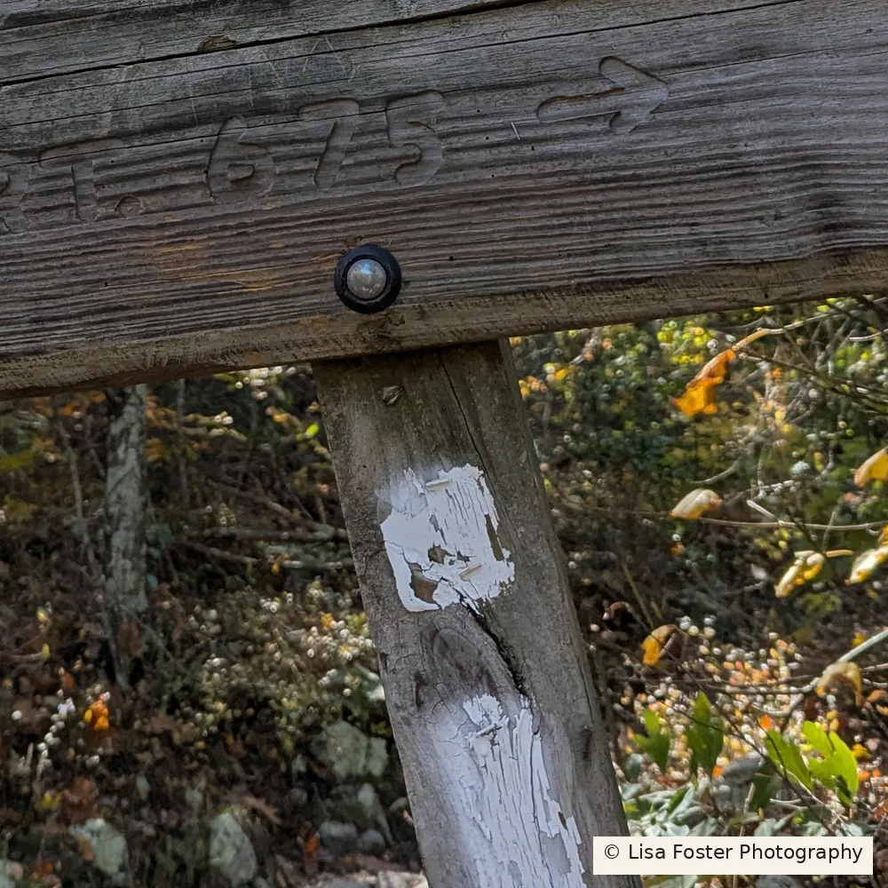 Close-up of a white trail blaze painted on a wooden post on the Kennedy Peak spur