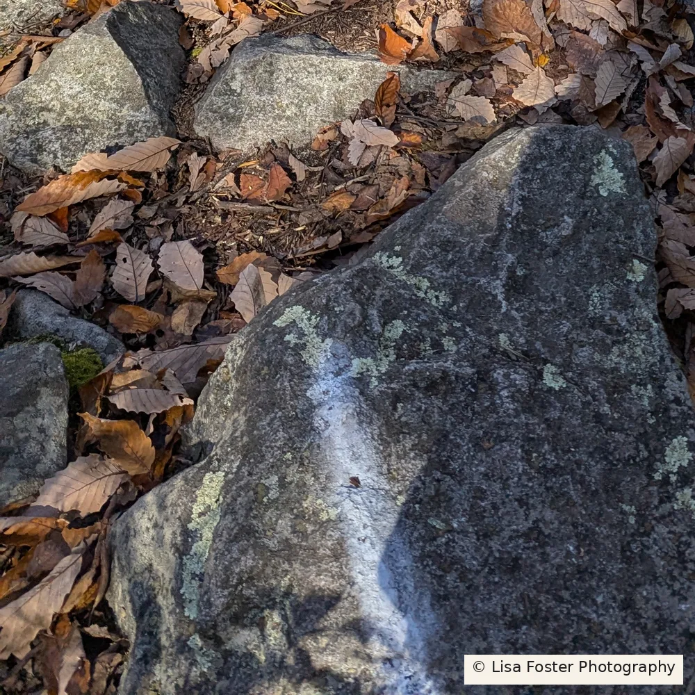 Close-up of a white blaze painted on a gray trail rock on the way to Kennedy Peak