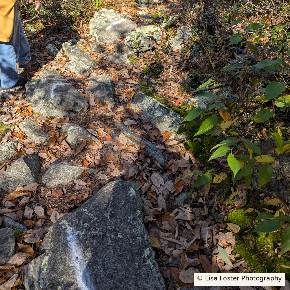 White blazes painted on rocks along the rocky Kennedy Peak spur trail