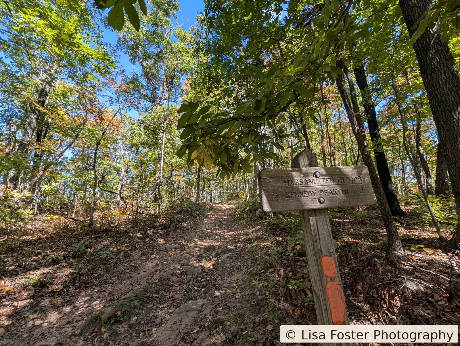 Wooden post for Massanutten Trail 408 and the Kennedy Peak Trail beside a leaf-covered path.