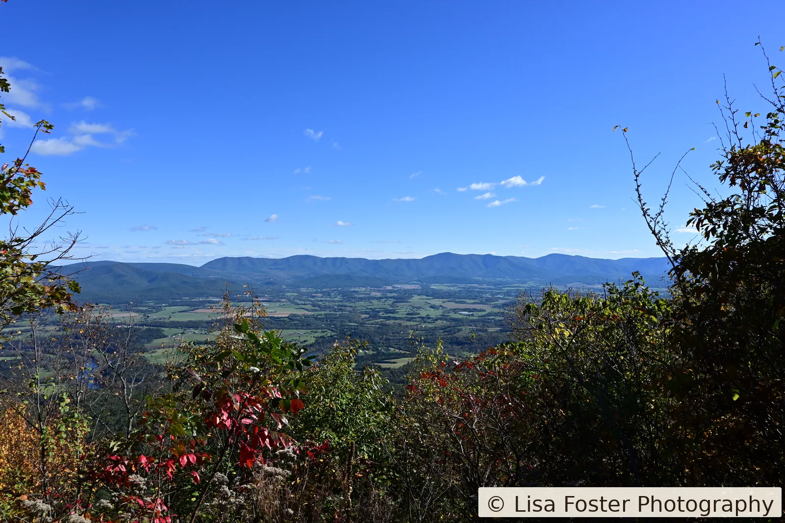 Red maple leaves framing a view of Page Valley and the Blue Ridge from near Kennedy Peak, October 17, 2026.