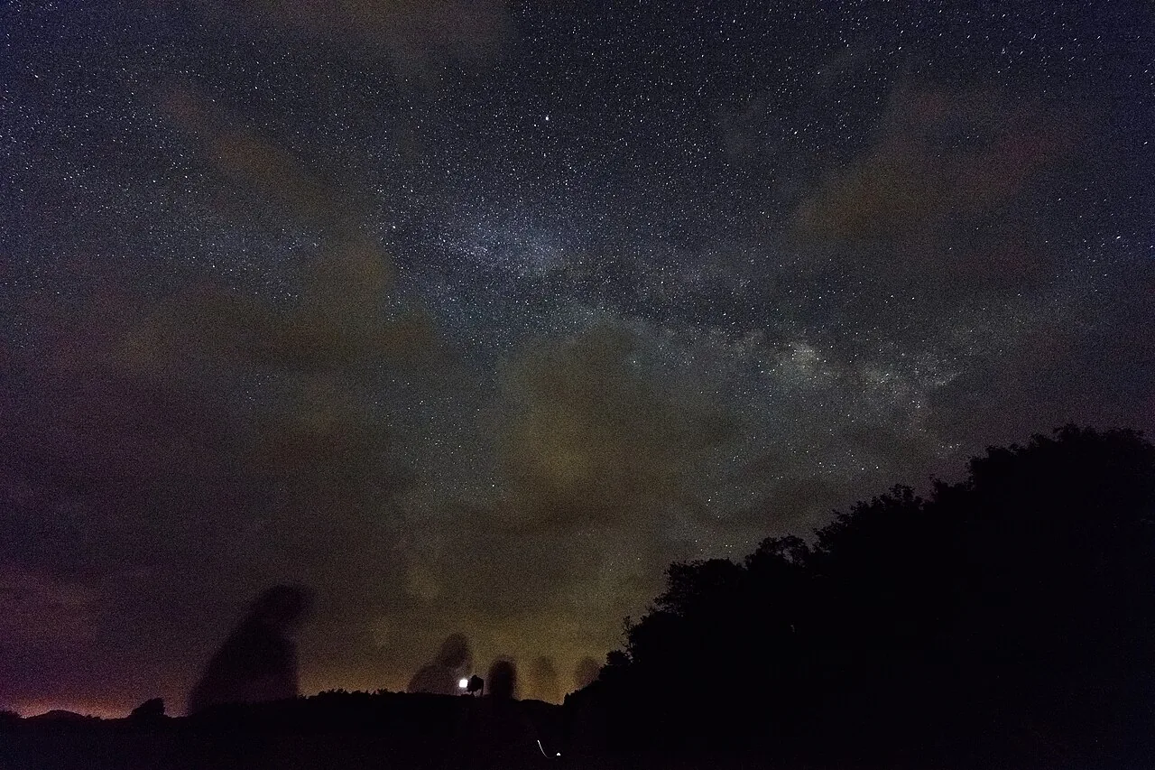 A starry night sky over the silhouettes of trees at Big Meadows in Shenandoah National Park