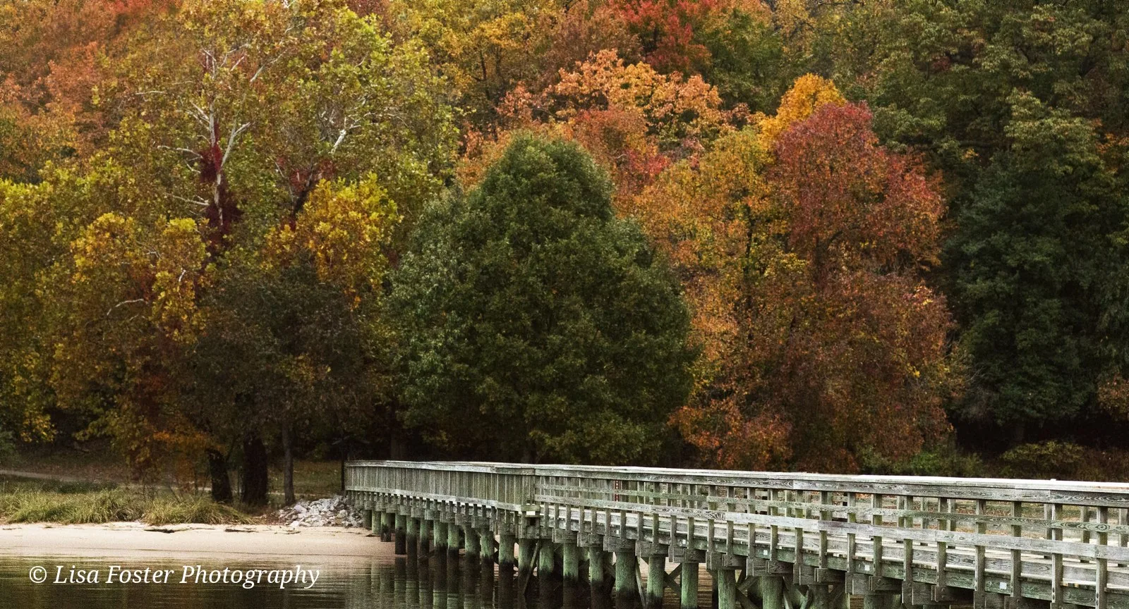 A wooden boardwalk curving over a lake lined with autumn trees