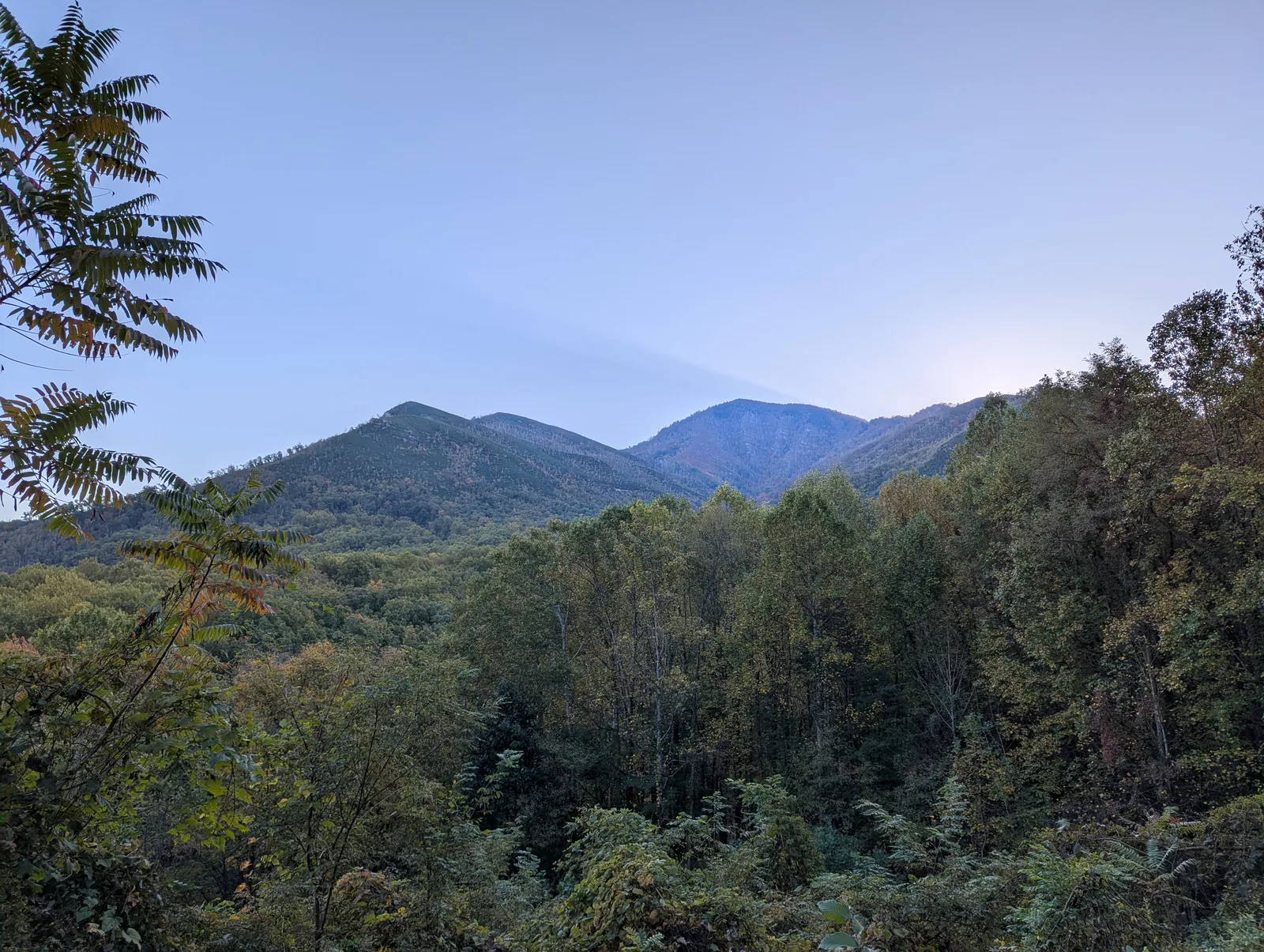 A two-lane road curving through forested mountains under a clear blue sky, with a metal guardrail along the right shoulder