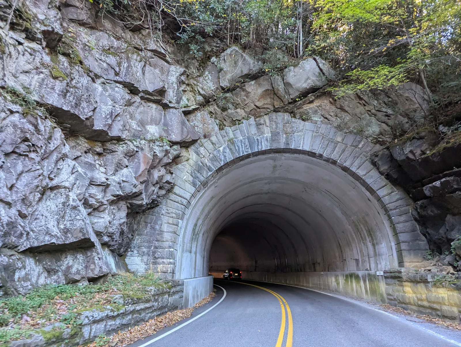 The dark opening of a short rock tunnel, with a two-lane road and a yellow center line leading in, and fallen leaves along the shoulder