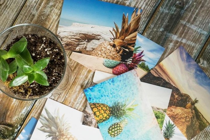 Fresh photo prints scattered on a wooden table next to a small potted plant