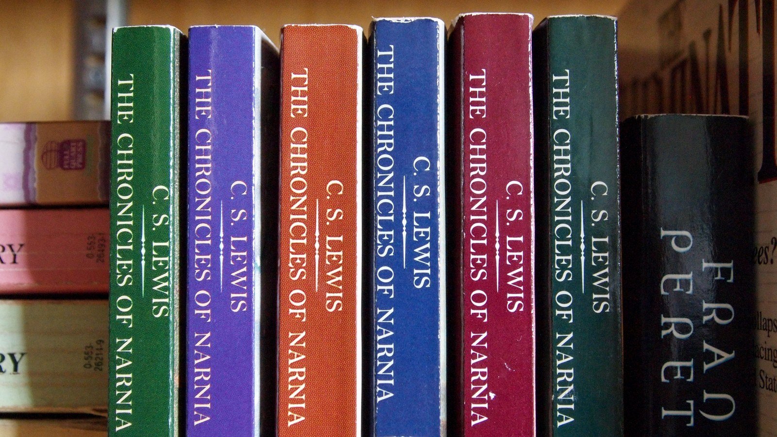 Row of colorful paperback book spines lined up on a wooden bookshelf
