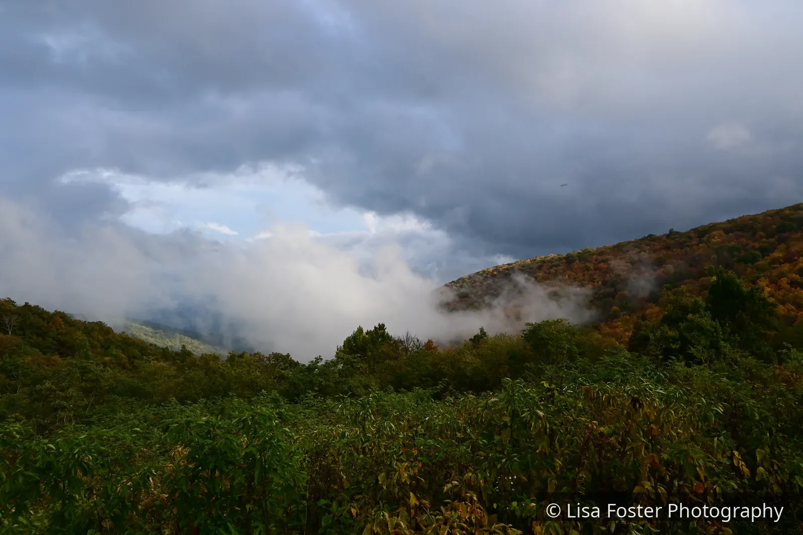 Layered ridges disappear into fog from a Skyline Drive overlook, with red and orange autumn trees on the near slope.
