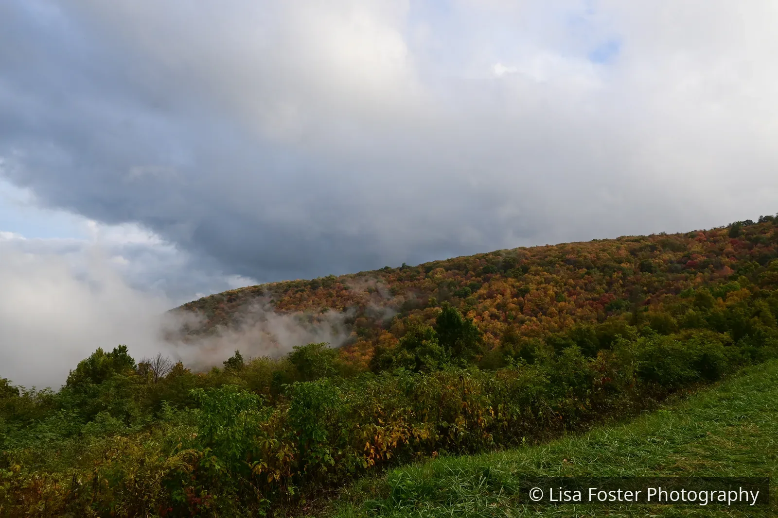 Fog fills the valley below a Skyline Drive overlook, with autumn trees in the foreground and one wooded ridge above the clouds