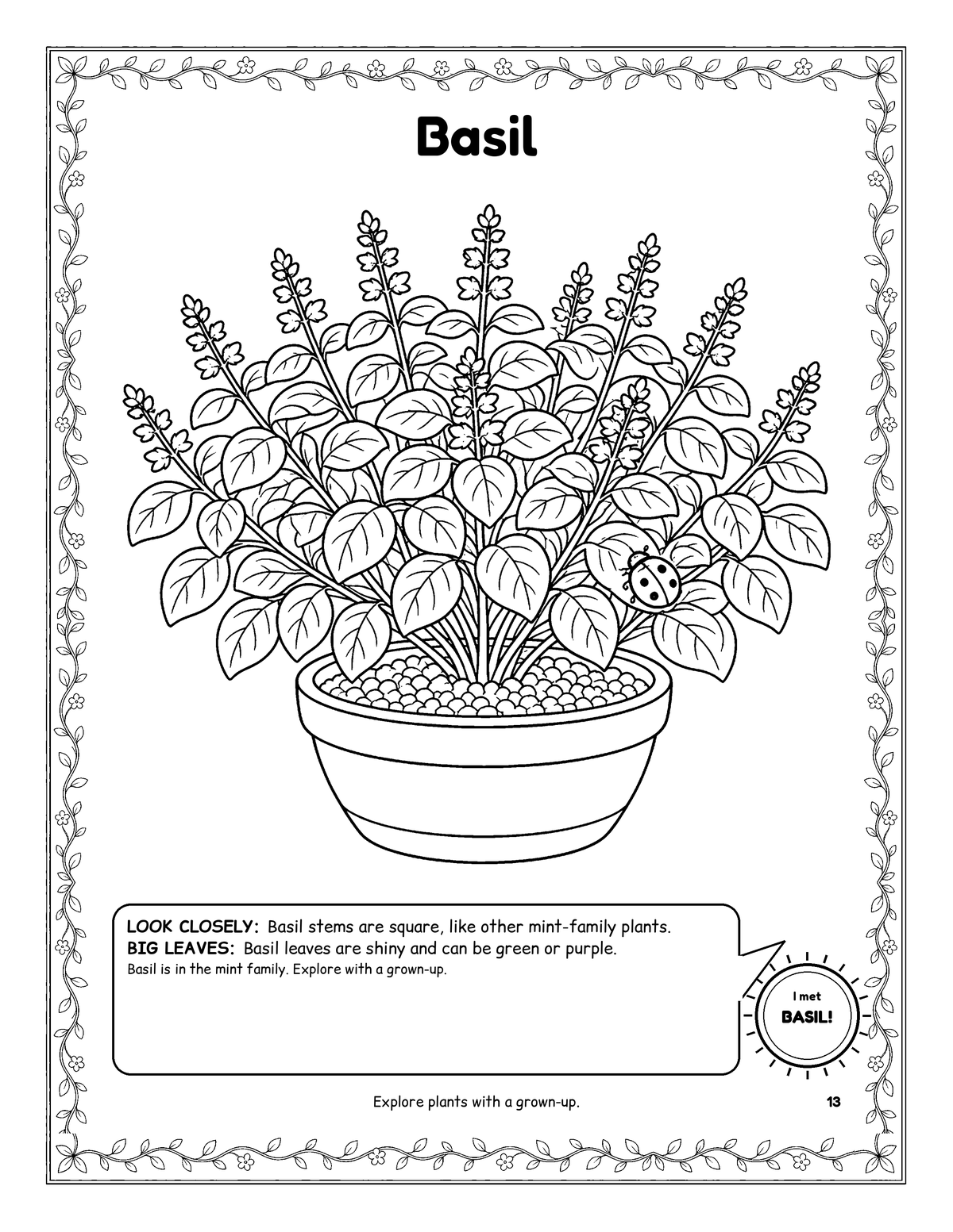 Coloring page of a potted basil plant with a ladybug, framed by a leafy vine border.