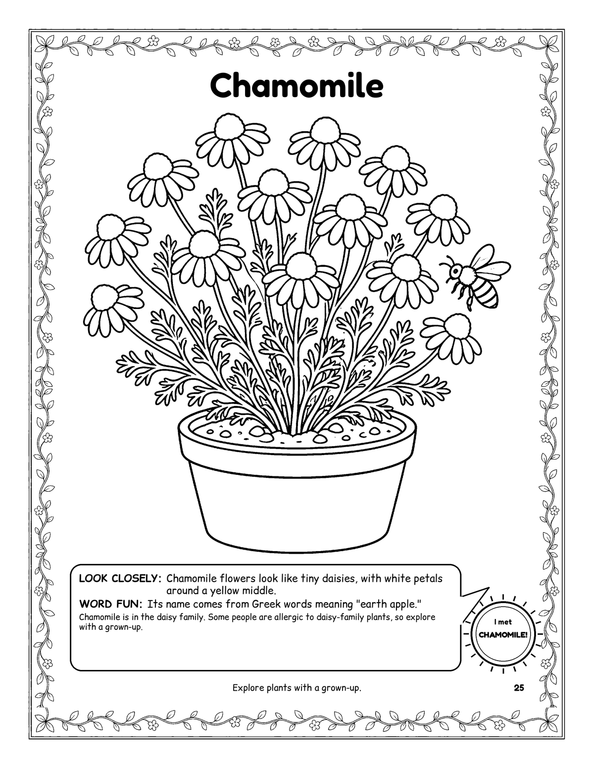 Coloring page of chamomile flowers in a pot with a bee, framed by a leafy vine border.