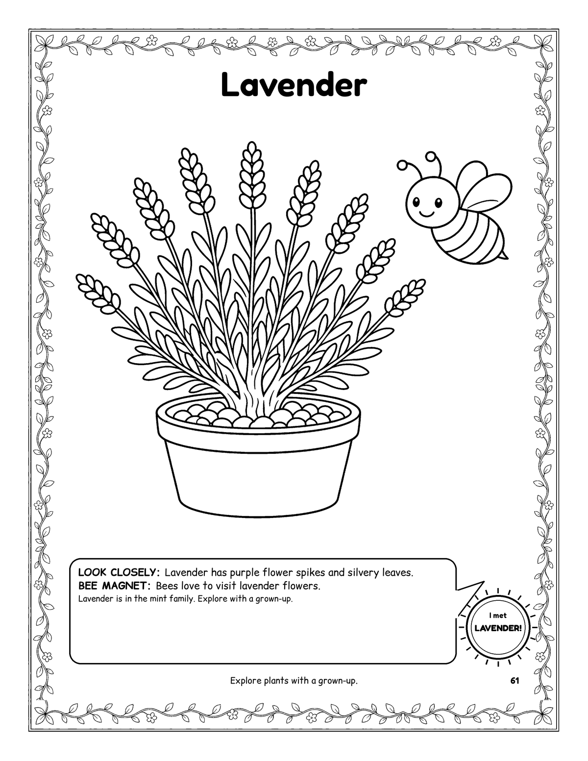 Coloring page of lavender flower spikes in a pot with a smiling bee, framed by a leafy vine border.