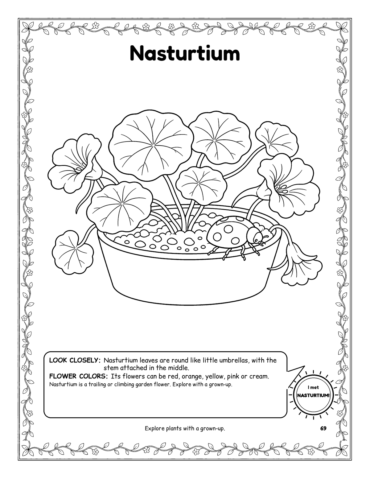 Coloring page of nasturtium with round leaves in a wide pot, framed by a leafy vine border.