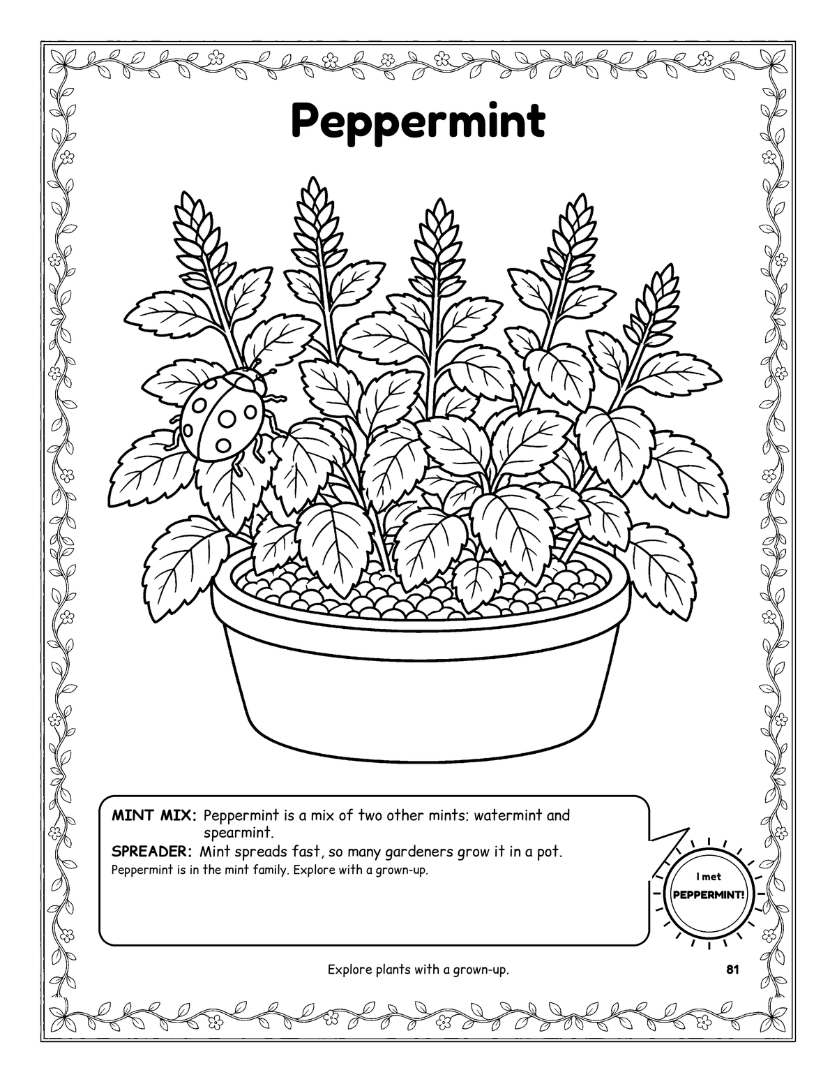 Coloring page of a potted peppermint plant, framed by a leafy vine border.