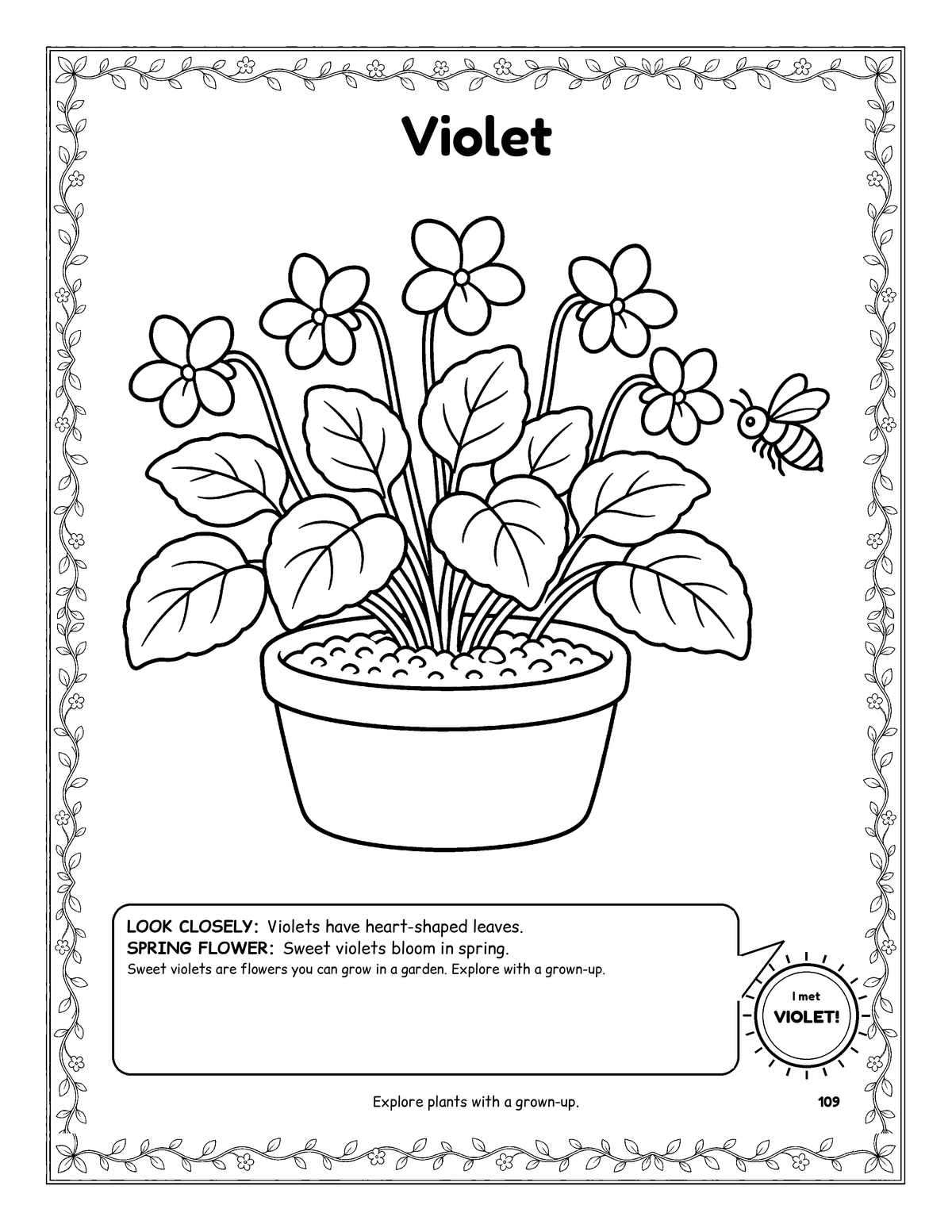 Coloring page of violets in a pot with a bee, framed by a leafy vine border.